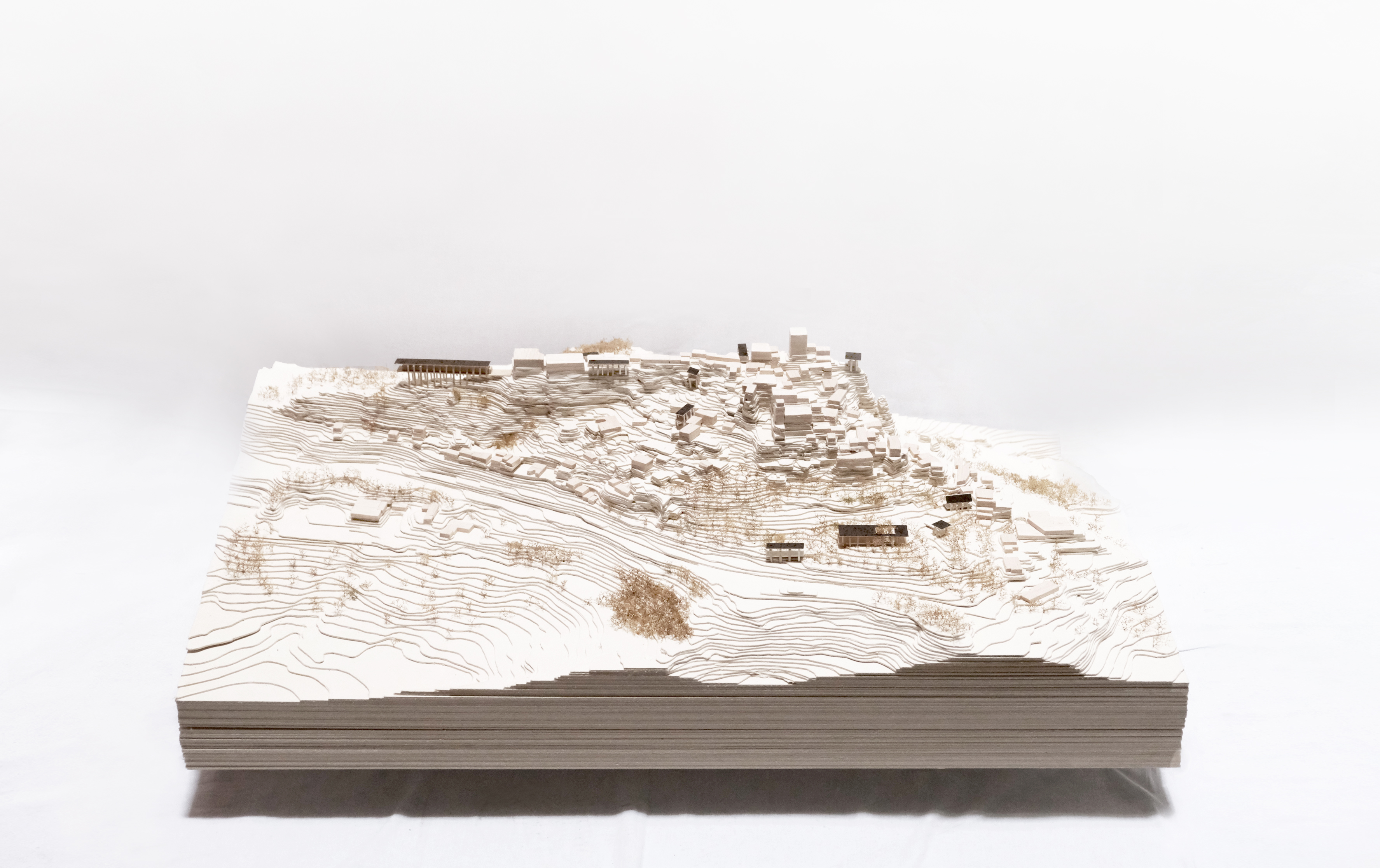 Craco_plastico